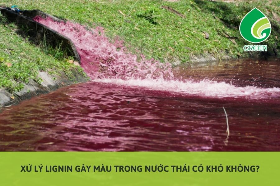 Xử Lý Lignin Gây Màu Trong Nước Thải Có Khó Không?