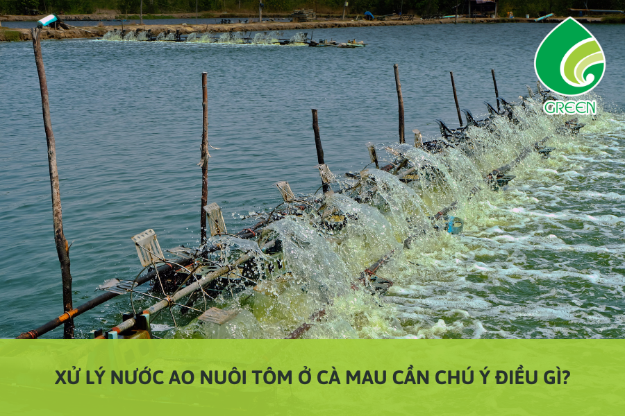 Xử Lý Nước Ao Nuôi Tôm Ở Cà Mau Cần Chú Ý Điều Gì?