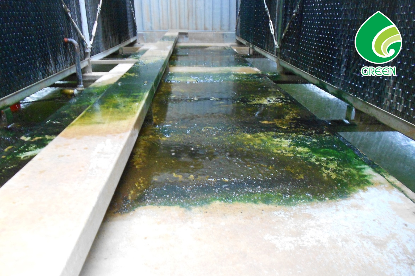 5 Bước Xử Lý Rêu Trong Tháp Giải Nhiệt Giúp Hệ Thống Luôn Ổn Định