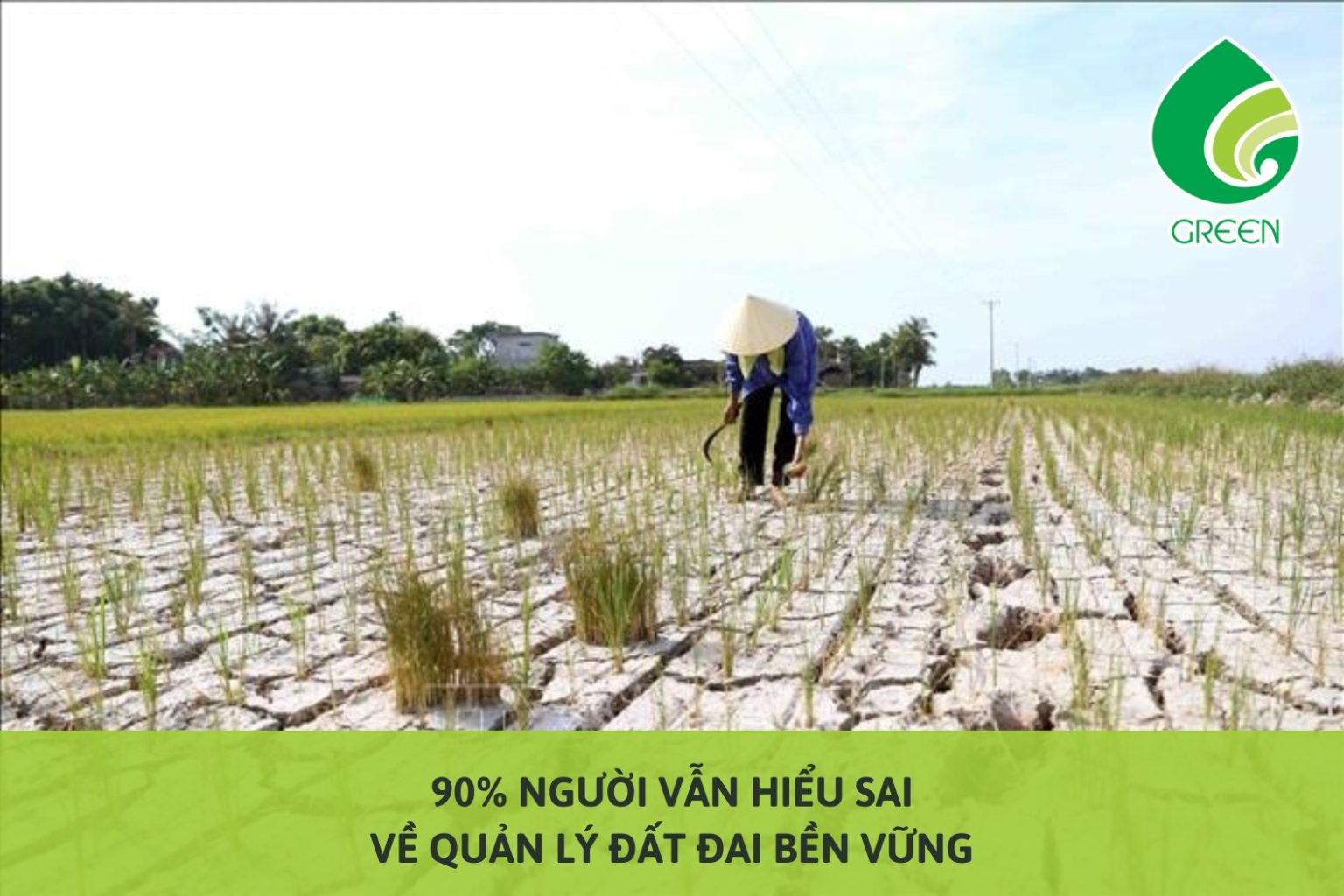 90% Người Vẫn Hiểu Sai Về Quản Lý Đất Đai Bền Vững