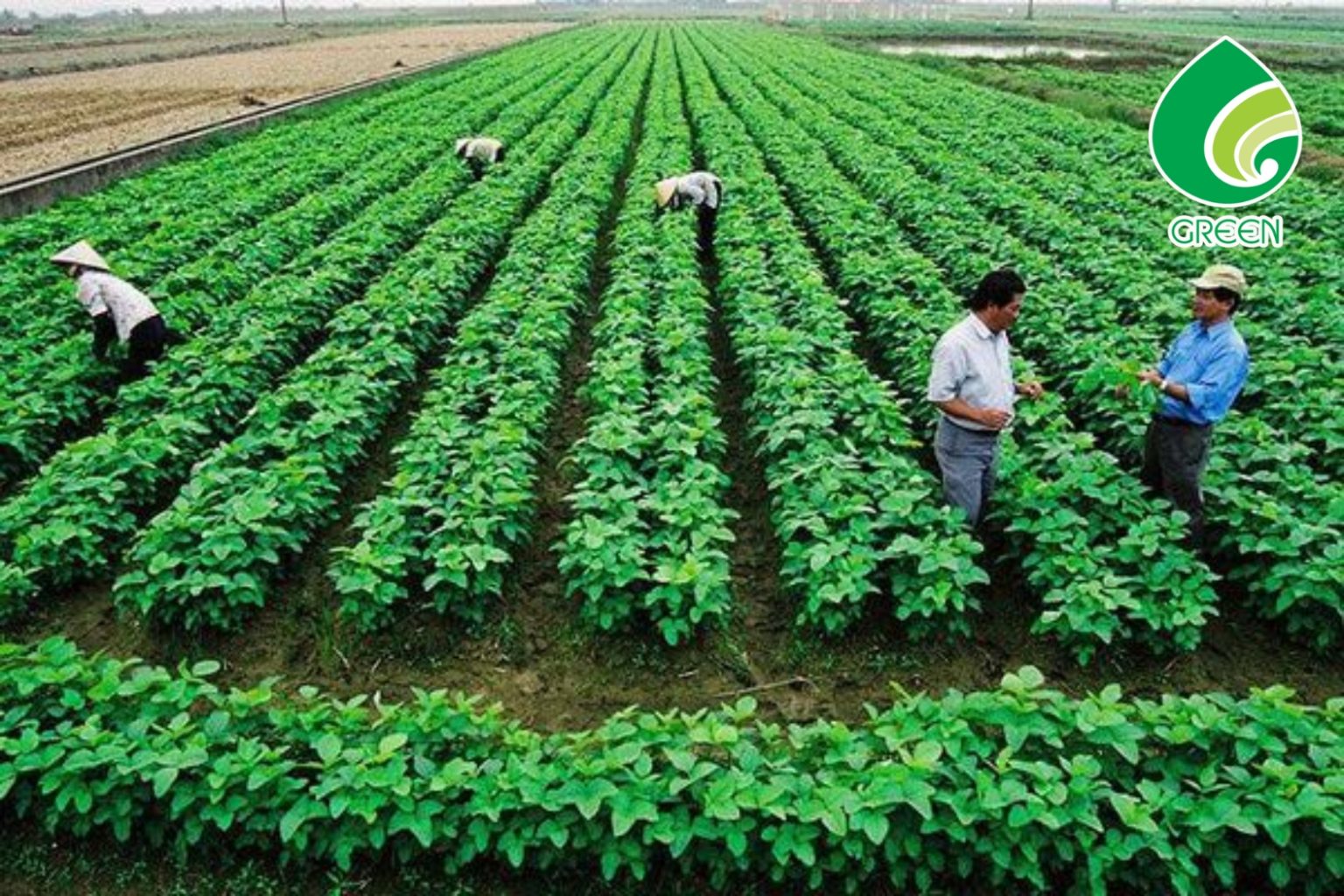 90% Người Vẫn Hiểu Sai Về Quản Lý Đất Đai Bền Vững