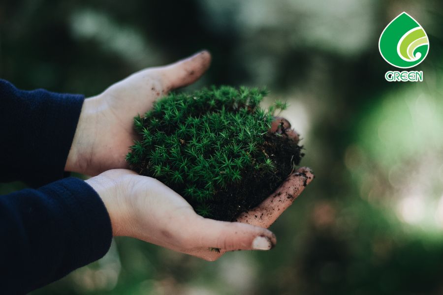 99% Người Việt Chưa Hiểu Đúng Về Bảo Vệ Môi Trường