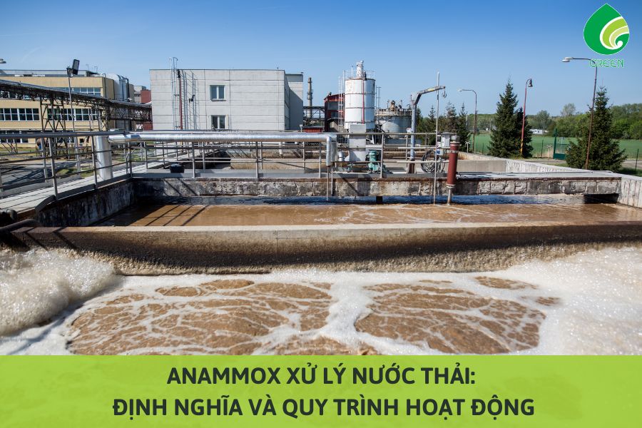 Anammox Xử Lý Nước Thải: Định Nghĩa Và Quy Trình Hoạt Động