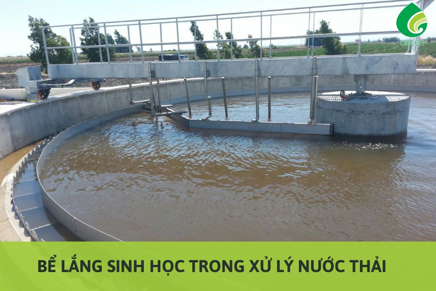 Bể Lắng Sinh Học Trong Xử Lý Nước Thải