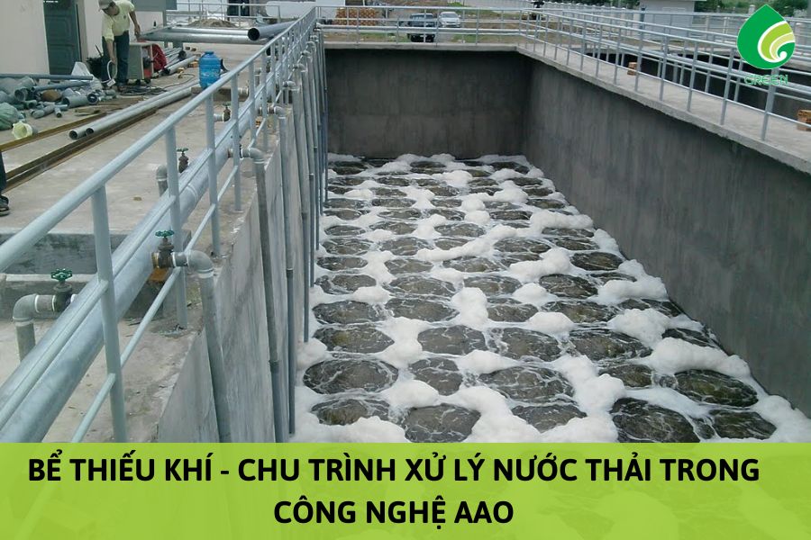 Bể Thiếu Khí - Chu Trình Xử Lý Nước Thải Trong Công Nghệ AAO