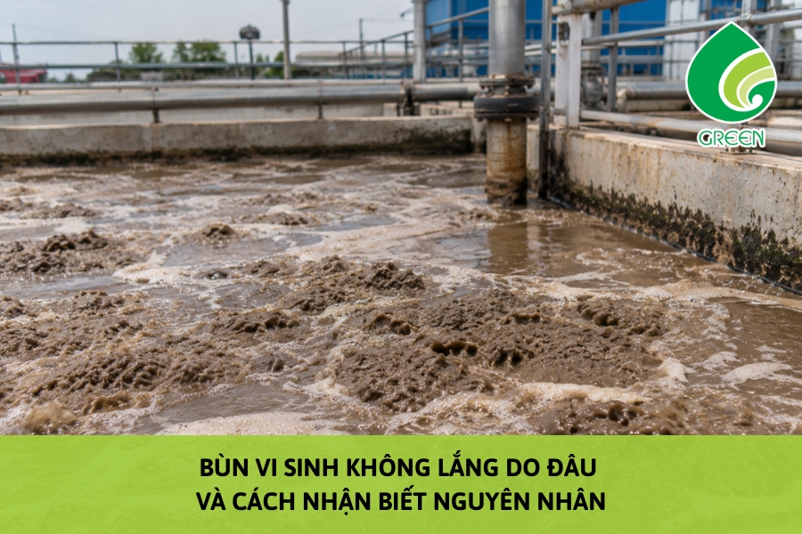 Bùn Vi Sinh Không Lắng Do Đâu Và Cách Nhận Biết Nguyên Nhân
