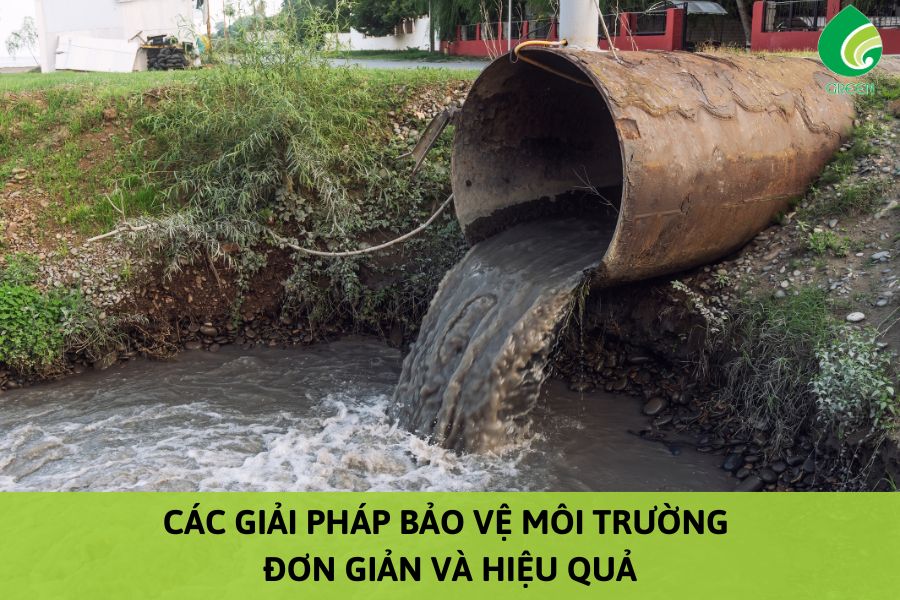 Các Giải Pháp Bảo Vệ Môi Trường Đơn Giản Và Hiệu Quả