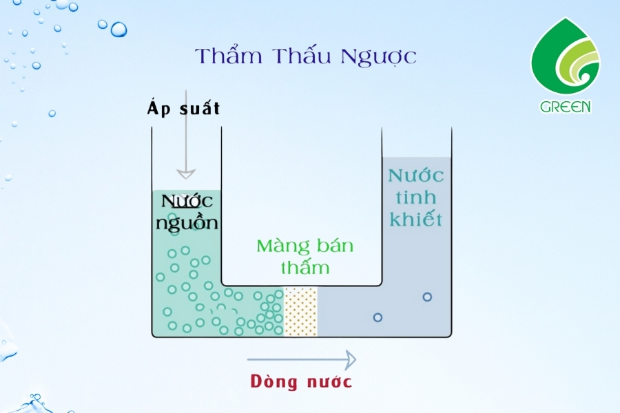 Các Giải Pháp Hiệu Quả Nhất Để Xử Lý Nước Mặn Thành Nước Ngọt