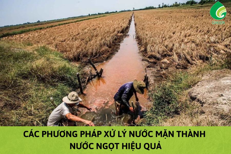 Các Phương Pháp Xử Lý Nước Mặn Thành Nước Ngọt Hiệu Quả