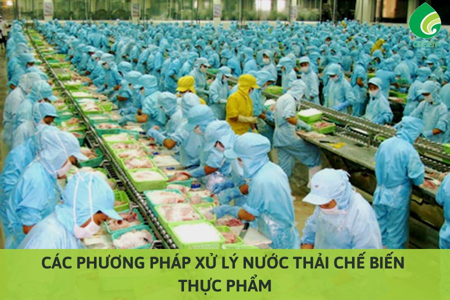 Các Phương Pháp Xử Lý Nước Thải Chế Biến Thực Phẩm