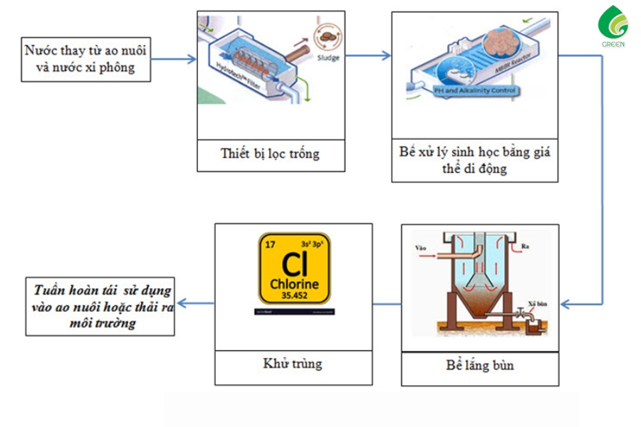 Các Phương Pháp Xử Lý Nước Thải Nuôi Tôm Tối Ưu Nhất