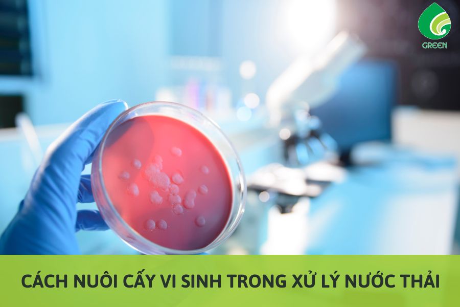 Cách Nuôi Cấy Vi Sinh Trong Xử Lý Nước Thải