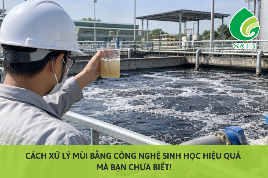 Cách Xử Lý Mùi Bằng Công Nghệ Sinh Học Hiệu Quả Mà Bạn Chưa Biết!