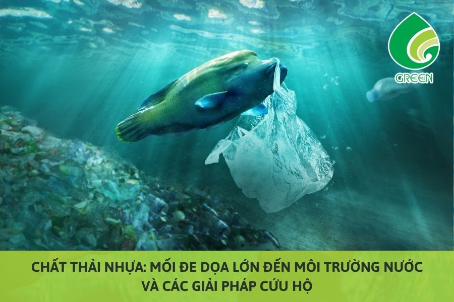 Chất Thải Nhựa: Mối Đe Dọa Lớn Đến Môi Trường Nước Và Các Giải Pháp Cứu Hộ