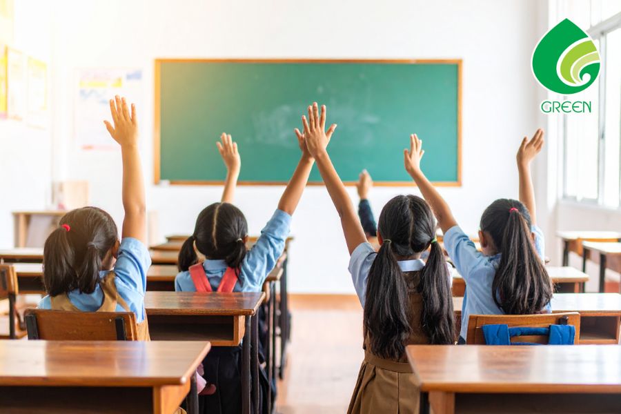 Chống Lại Rừng Bị Tàn Phá: Mẹo Nhỏ Mang Lại Hiệu Quả Lớn Cho Cộng Đồng