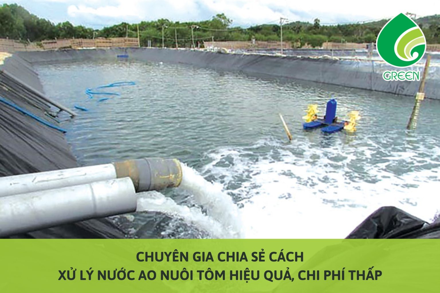 Chuyên Gia Chia Sẻ Cách Xử Lý Nước Ao Nuôi Tôm Hiệu Quả, Chi Phí Thấp