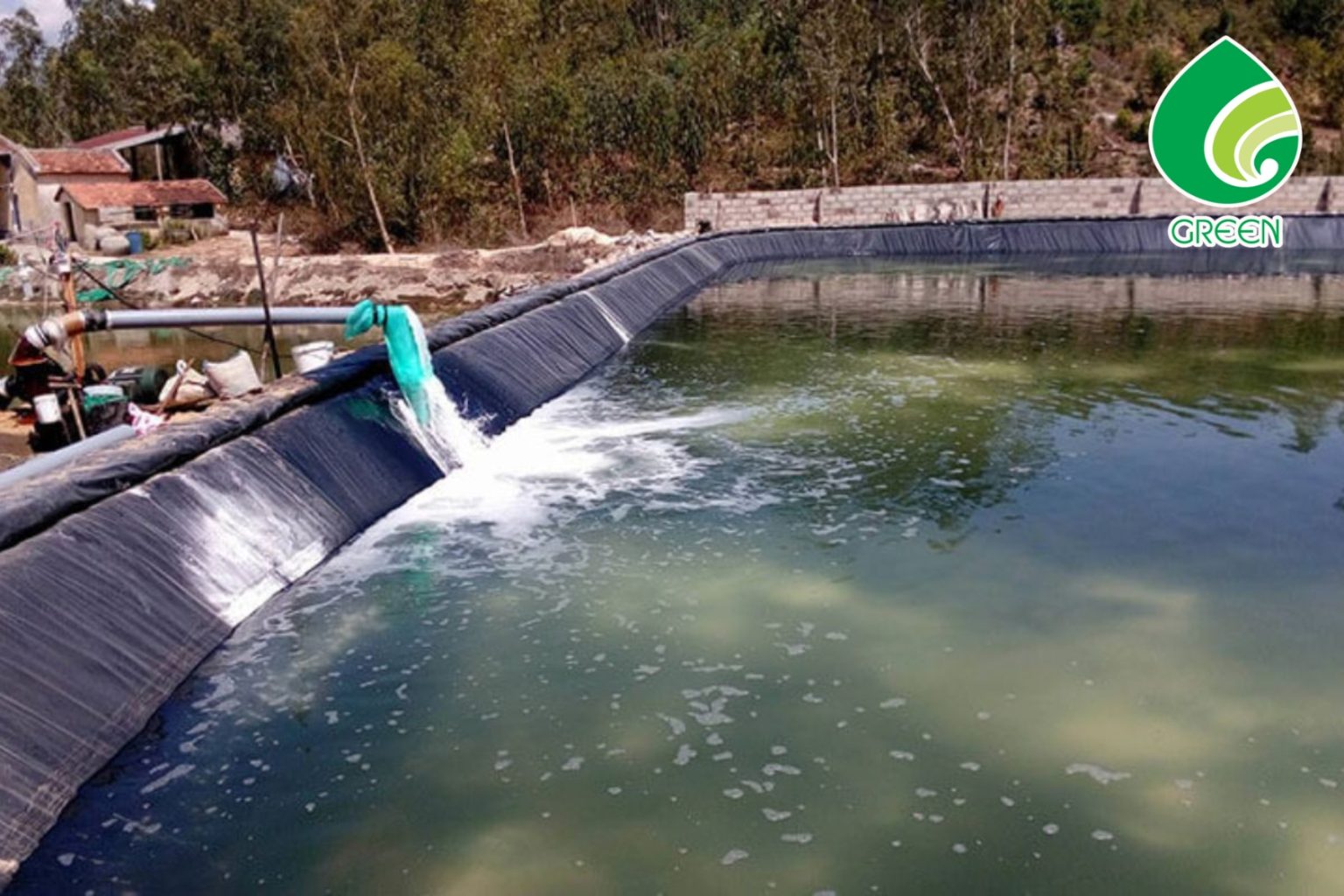 Chuyên Gia Chia Sẻ Cách Xử Lý Nước Ao Nuôi Tôm Hiệu Quả, Chi Phí Thấp