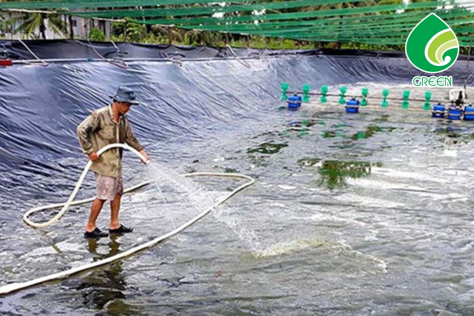 Chuyên Gia Chia Sẻ Cách Xử Lý Nước Ao Nuôi Tôm Hiệu Quả, Chi Phí Thấp