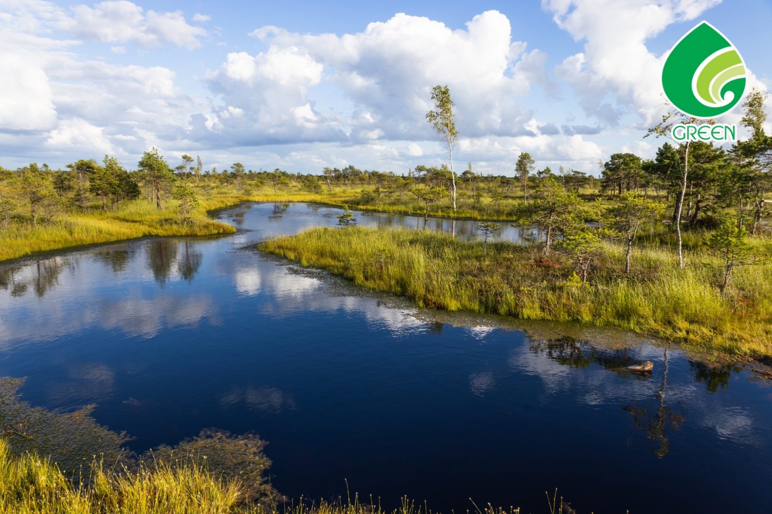 Đa Dạng Sinh Học Và Bảo Tồn: Điều Gì Sẽ Xảy Ra Nếu Con Người Tiếp Tục Thờ Ơ?
