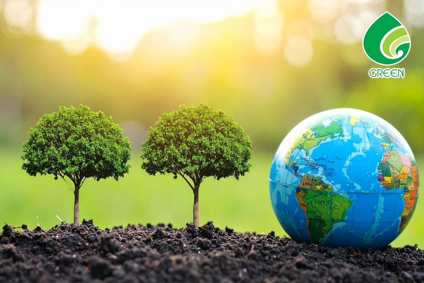 Dịch Vụ Giám Sát Và Tư Vấn Môi Trường: Tiết Kiệm Hay Tăng Chi Phí Vận Hành?