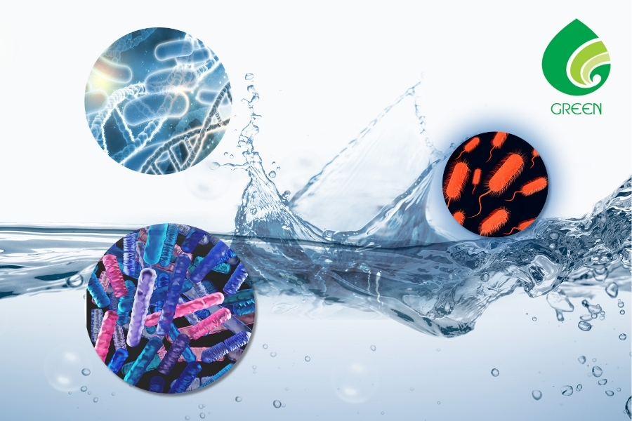 Giải Pháp Khắc Phục Nước Sinh Hoạt Nhiễm Coliform