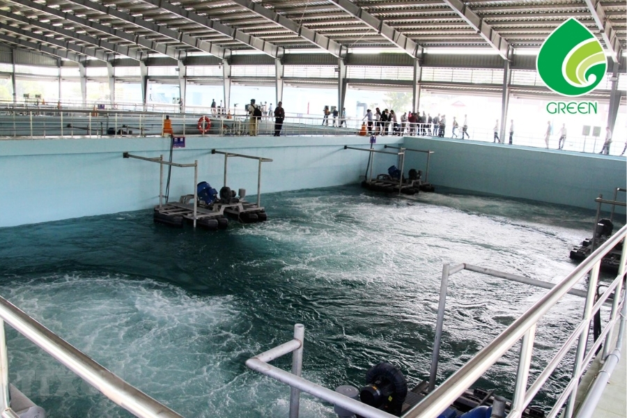 Giải Pháp Xanh Với Công Nghệ Sinh Học Trong Xử Lý Nước Thải