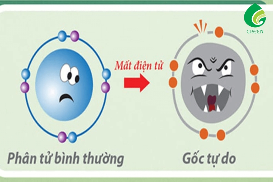 Gốc Tự Do Là Gì? Giải Pháp Nào Loại Bỏ Gốc Tự Do Từ Nước Ion Kiềm?