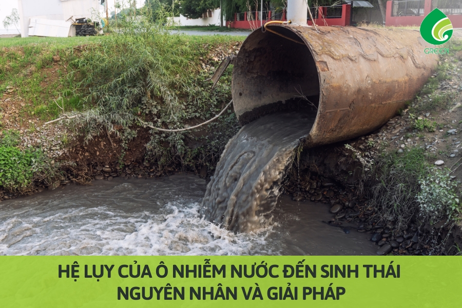 Hệ Lụy Của Ô Nhiễm Nước Đến Sinh Thái: Nguyên Nhân Và Giải Pháp