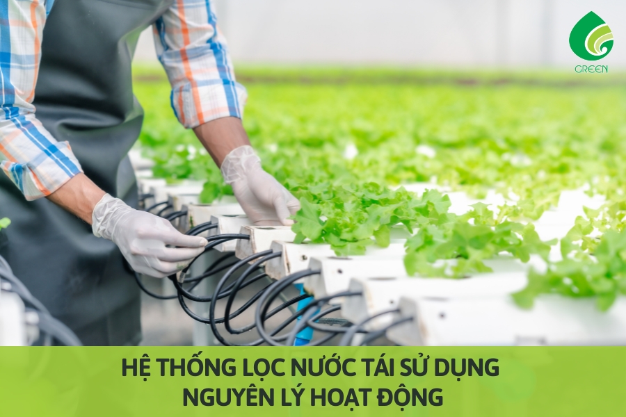 Hệ Thống Lọc Nước Tái Sử Dụng: Nguyên Lý Hoạt Động 