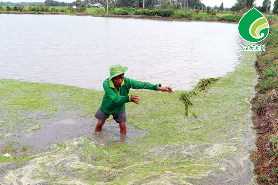 Hệ Thống Xử Lý Nước Nhiễm Mặn Đột Phá Trong Việc Cải Thiện Chất Lượng Nước