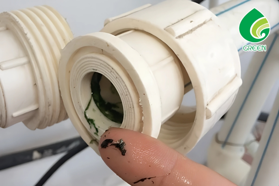 Hóa Chất Tẩy Rêu – Giải Pháp Hiệu Quả Và An Toàn Cho Các Bề Mặt Bị Rêu Mốc