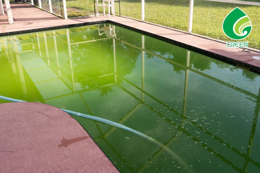 Hóa Chất Xử Lý Rong Rêu – Giải Pháp Tối Ưu Cho Hệ Thống Nước Thải Và Môi Trường Sạch