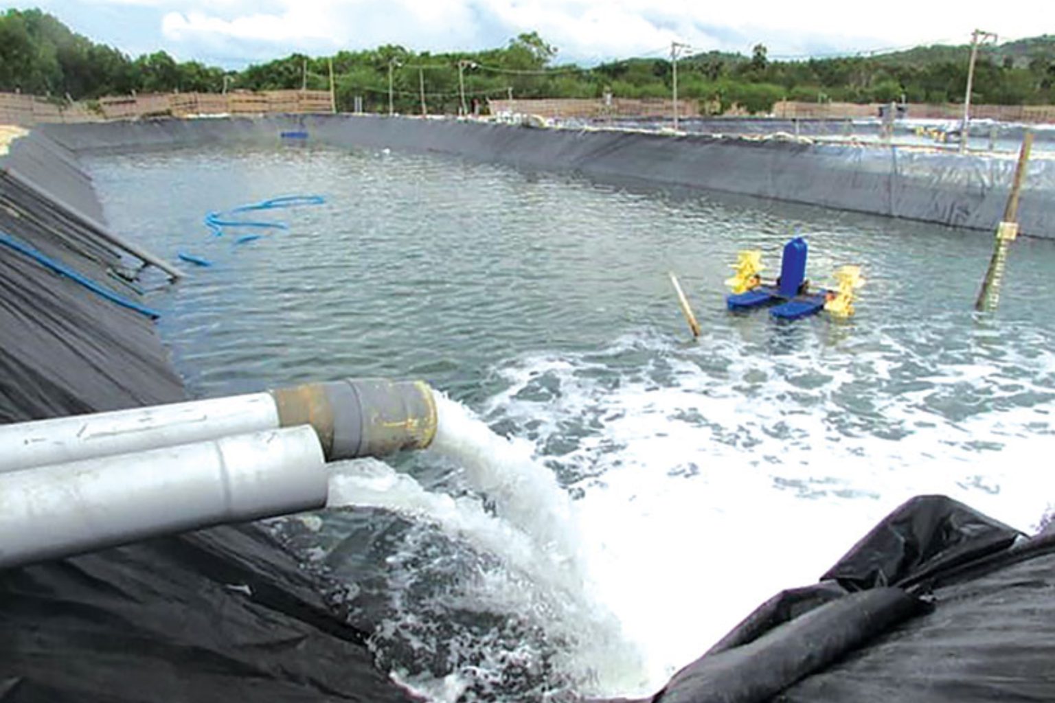 Hướng Dẫn Đầy Đủ Các Chỉ Tiêu Nước Trong Ao Nuôi Cho Người Mới