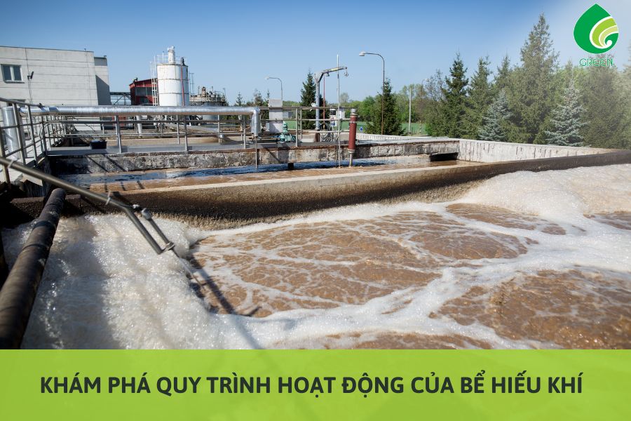 Khám Phá Quy Trình Hoạt Động Của Bể Hiếu Khí