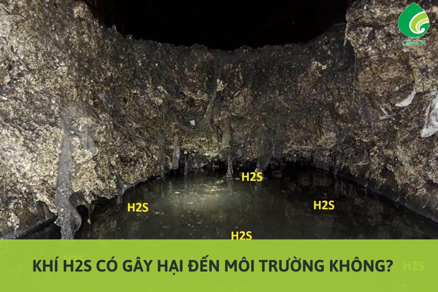 Khí H2S Có Gây Hại Đến Môi Trường Không?