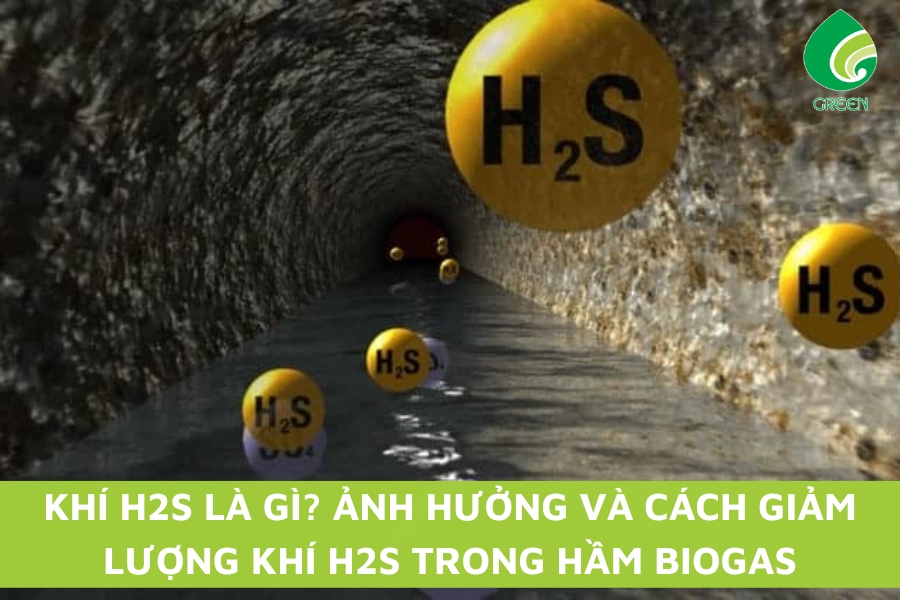 Khí H2S Là Gì? Ảnh Hưởng Và Cách Giảm Lượng Khí H2S Trong Hầm Biogas