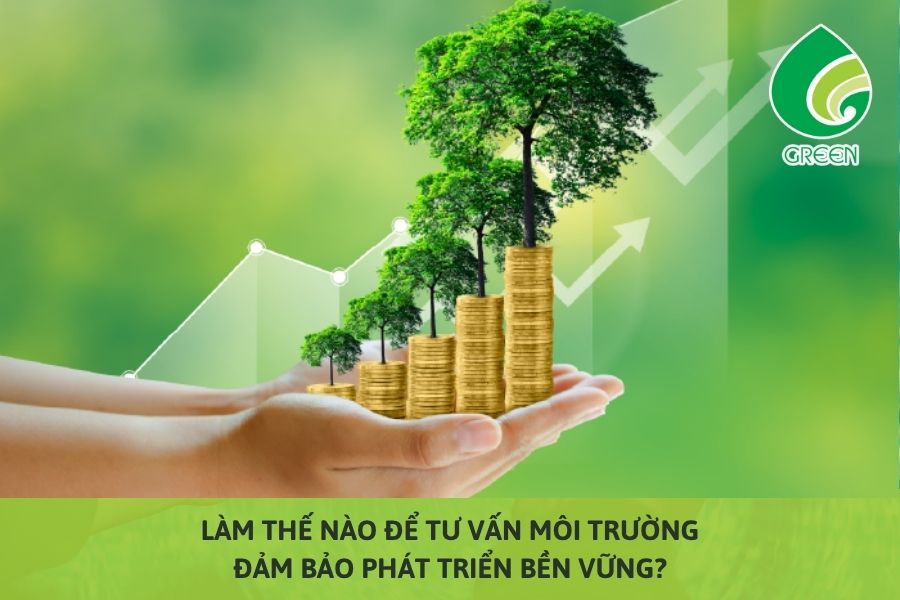 Làm Thế Nào Để Tư Vấn Môi Trường Đảm Bảo Phát Triển Bền Vững?