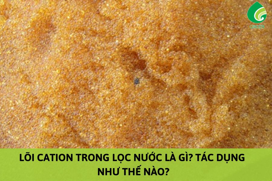 Lõi Cation trong lọc nước là gì? Tác Dụng Như Thế Nào?