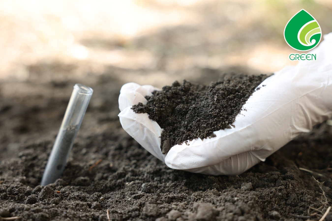 Lợi Ích Bất Ngờ Của Nông Nghiệp Hữu Cơ Đối Với Sức Khỏe Và Môi Trường