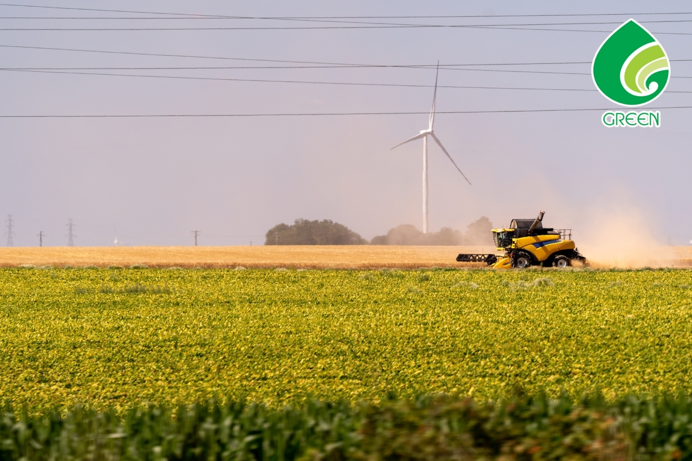 Lợi Ích Bất Ngờ Của Nông Nghiệp Hữu Cơ Đối Với Sức Khỏe Và Môi Trường