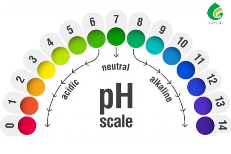 Mách Bạn Cách Xử Lý Nước Giếng Có Độ pH Thấp Hiệu Quả Nhất