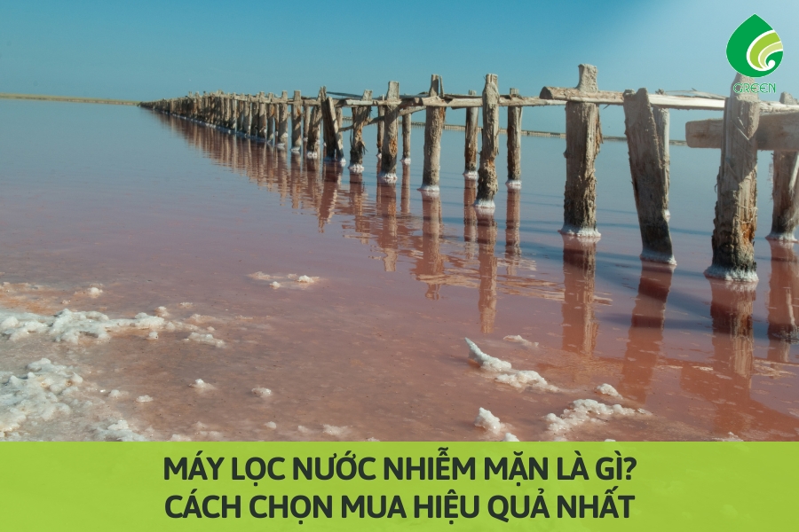 Máy Lọc Nước Nhiễm Mặn Là Gì? Cách Chọn Mua Hiệu Quả Nhất