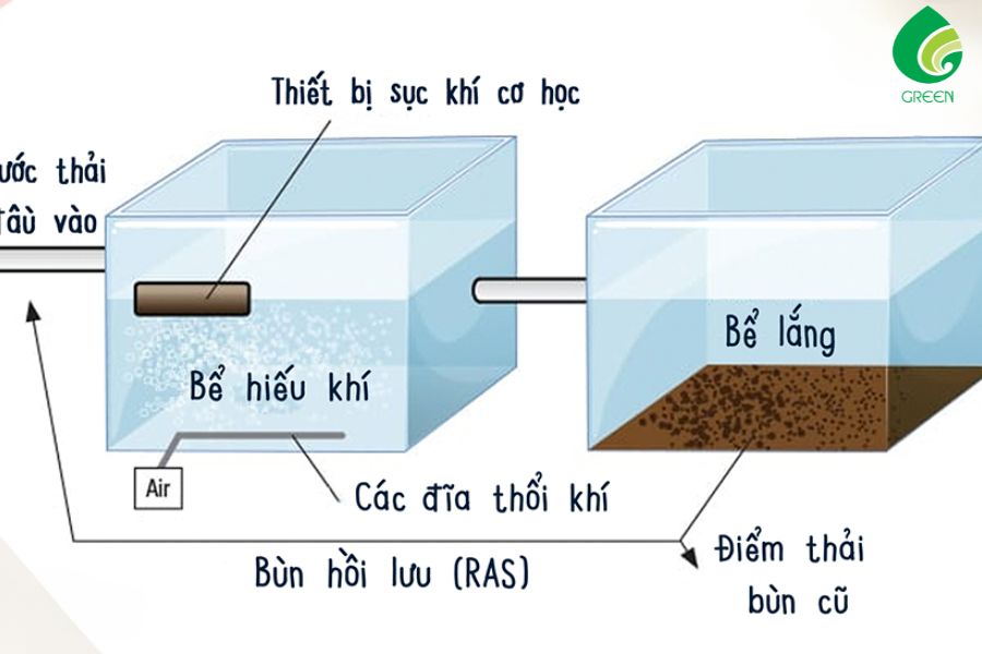 Một Số Cách Xử Lý Nước Thải Bằng Phương Pháp Sinh Học Phổ Biến