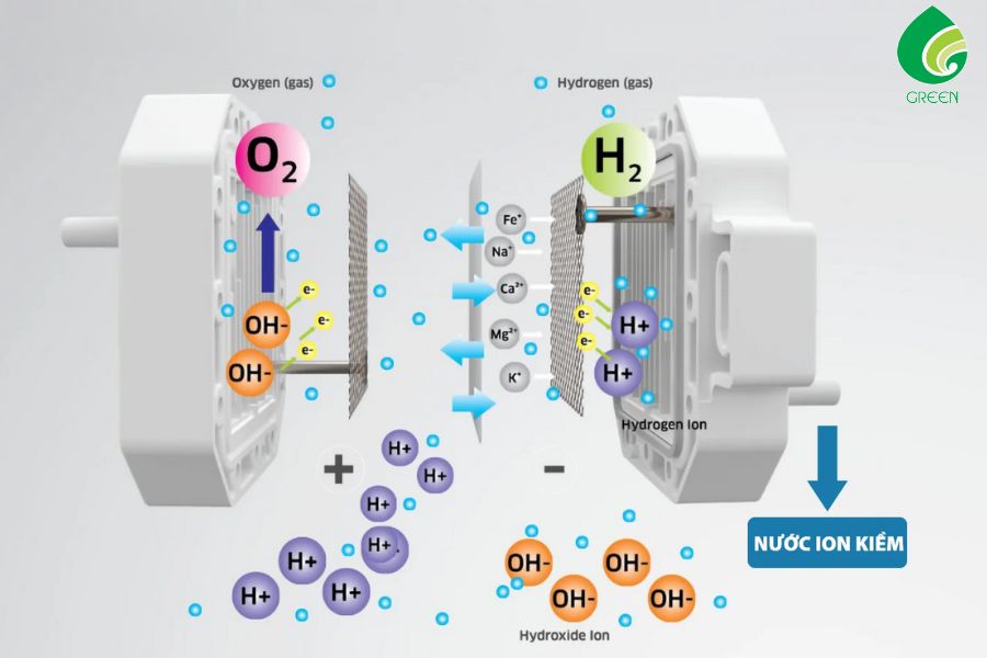 Nguyên Lý Hoạt Động Của Hệ Thống Khử Ion Trong Nước