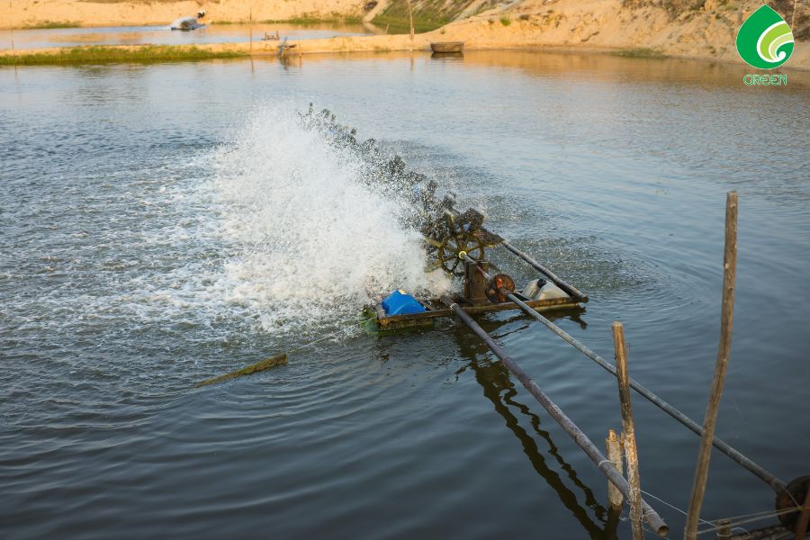 Nguyên Nhân Và Cách Xử Lý Nước Màu Xanh Ở Ao Hồ