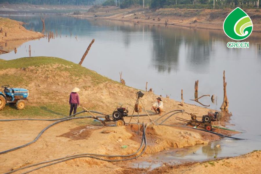 Những Mẹo Nhỏ Giúp Phục Hồi Nguồn Nước Ngay Tại Khu Vực Bạn Sống