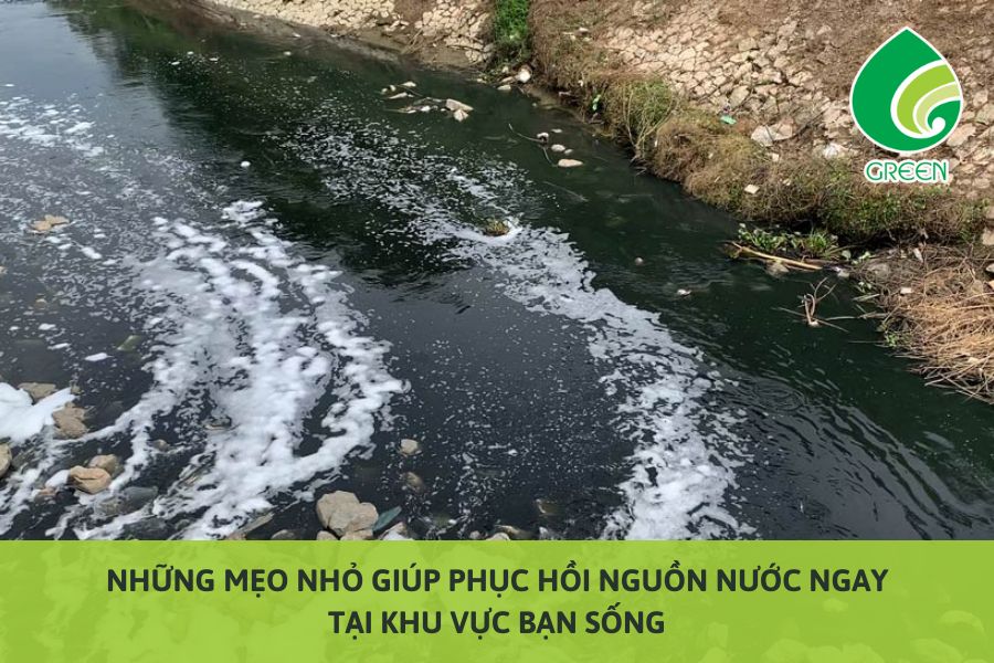 Những Mẹo Nhỏ Giúp Phục Hồi Nguồn Nước Ngay Tại Khu Vực Bạn Sống