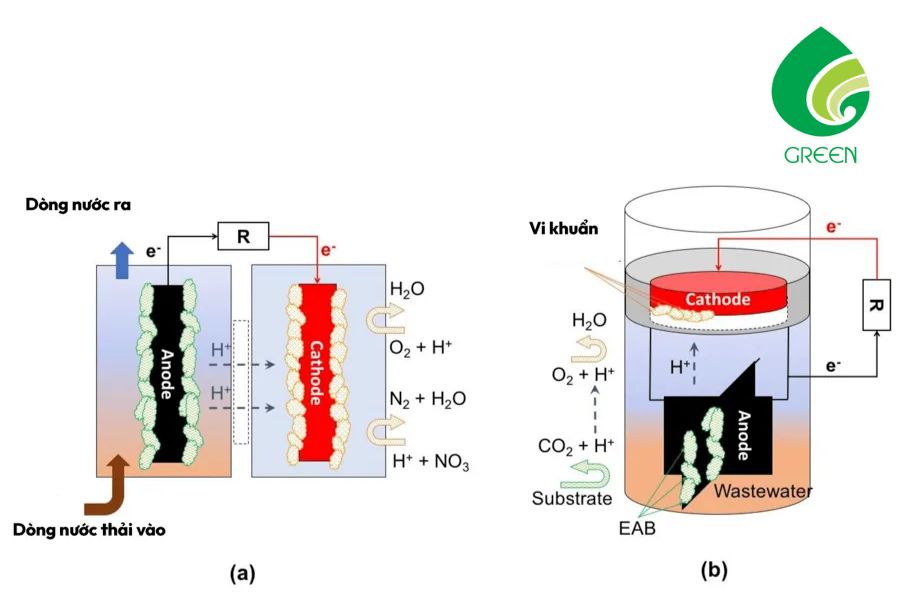 Những Sai Lầm Khi Ứng Dụng Xử Lý Màu Bằng Điện Hóa Và Cách Tránh