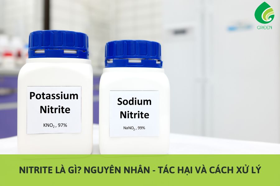 Nitrite Là Gì? Nguyên Nhân - Tác Hại Và Cách Xử Lý