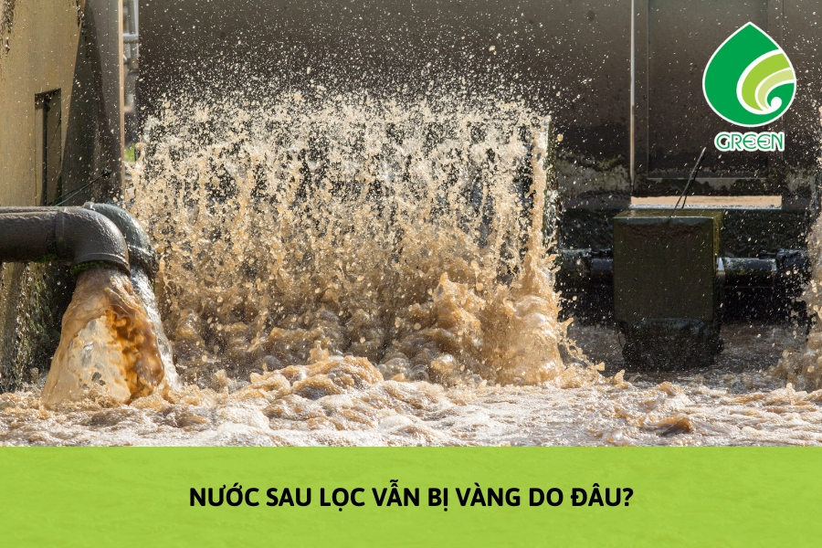 Nước Sau Lọc Vẫn Bị Vàng Do Đâu?